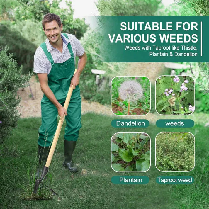 🌱 Bend-Free Weeding Is Here: The Last Tool You’ll Ever Need for a Perfect Lawn