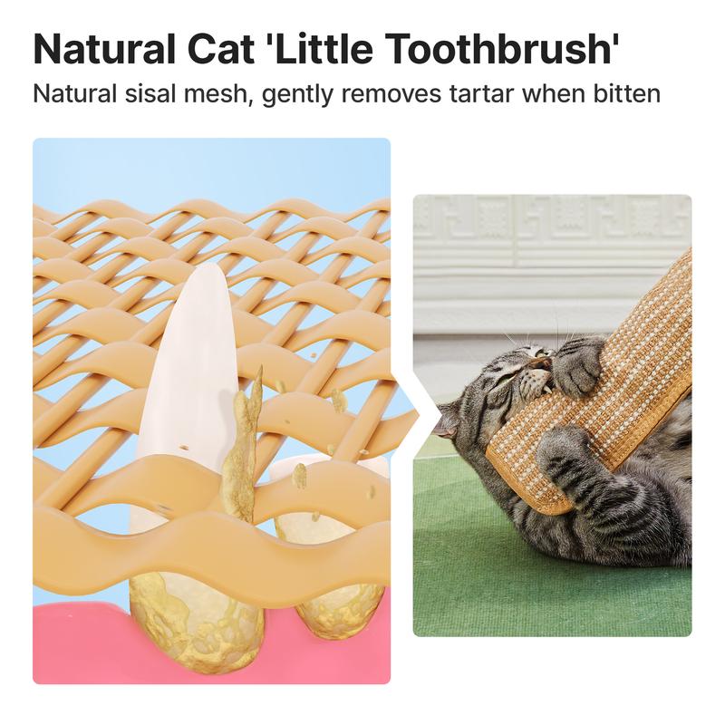 🐱 Interactive Catnip Chew Toy for Active Indoor Cats