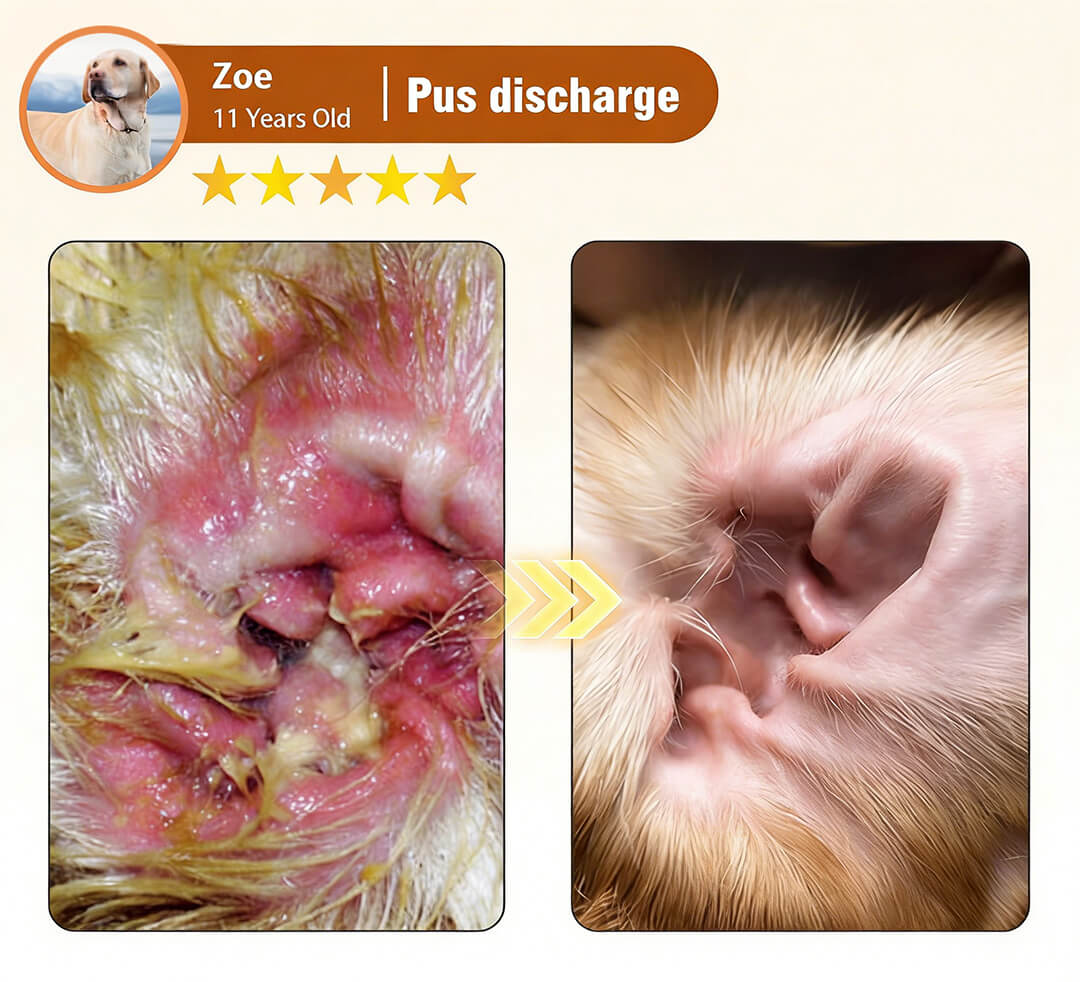 ODEIUN™ EnzyClean Pet Ear Cleaner 🐶🐱 Enzymatic Ear Care for Fast Itch and Odor Relief