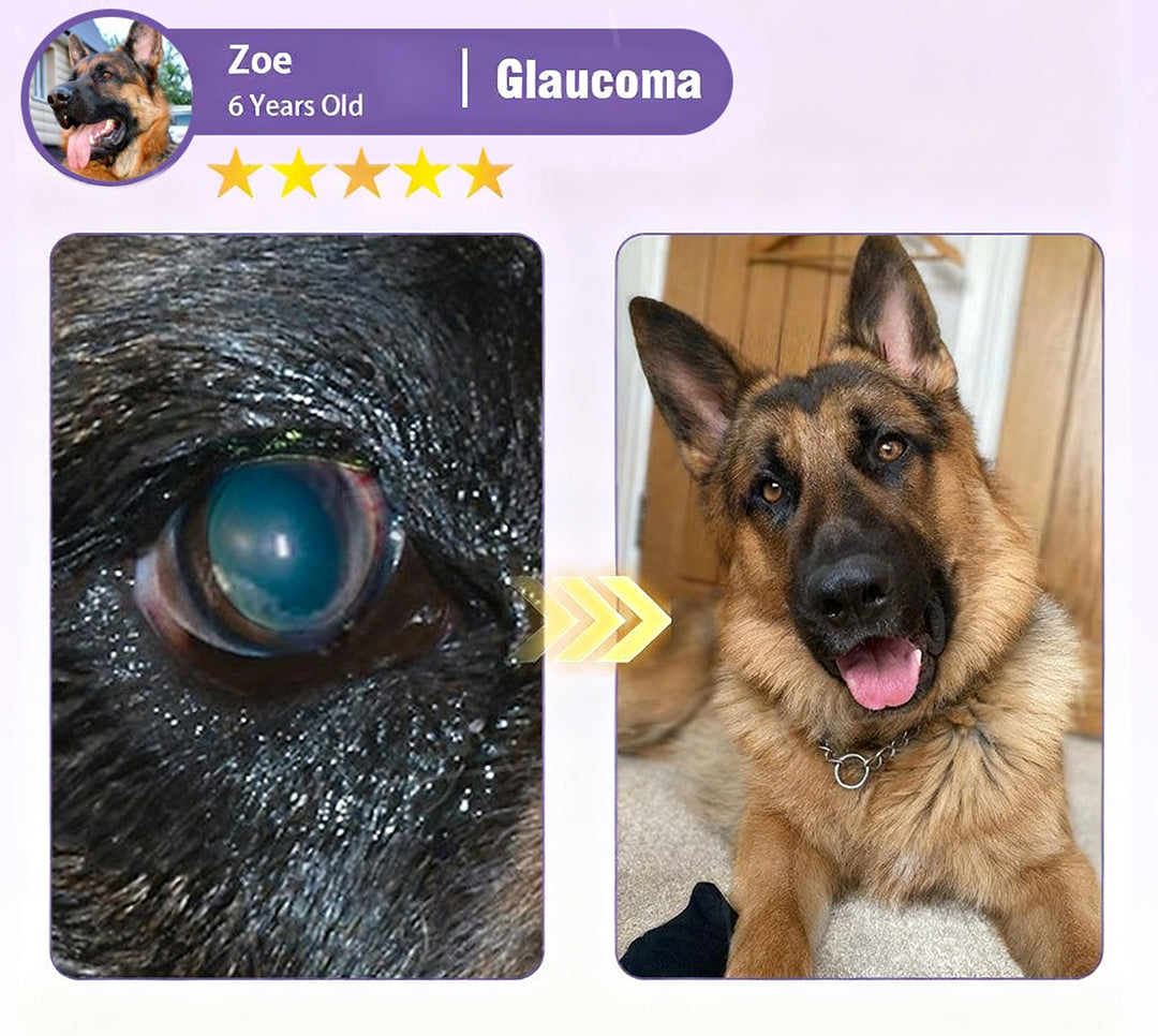 👩‍⚕️Zakdavi™ NanoCare Pet Eye Drops ☑️ TGA Approved | Relieves Conjunctivitis, Dry Eyes, Cataracts, and Keratitis🐶 🐈️