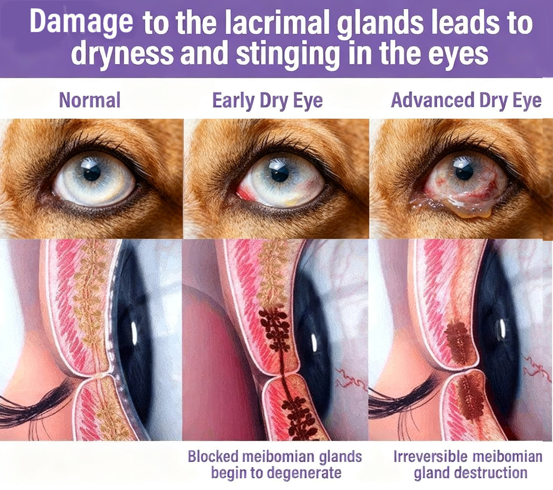 👩‍⚕️Zakdavi™ NanoCare Pet Eye Drops ☑️ TGA Approved | Relieves Conjunctivitis, Dry Eyes, Cataracts, and Keratitis🐶 🐈️