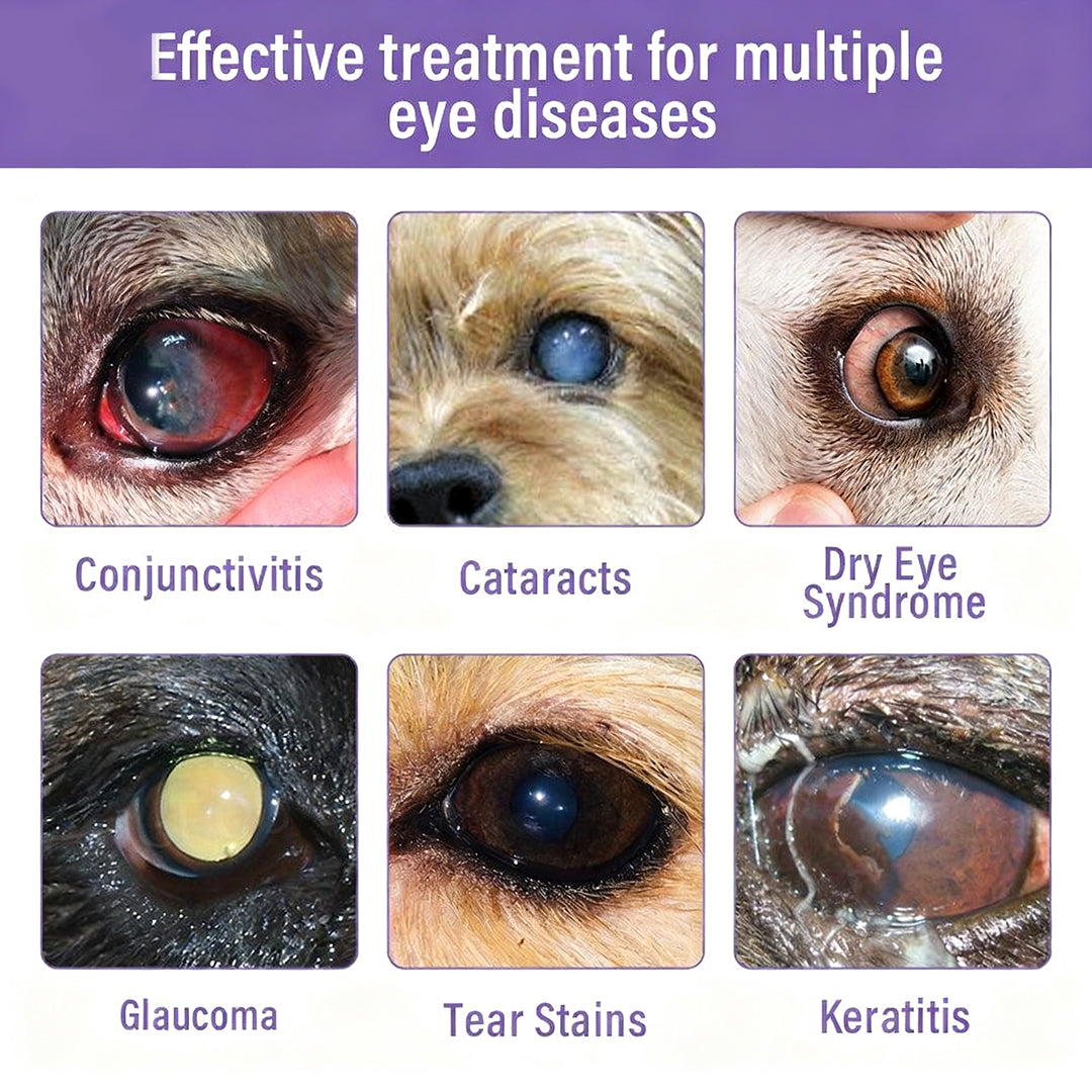 👩‍⚕️Zakdavi™ NanoCare Pet Eye Drops ☑️ TGA Approved | Relieves Conjunctivitis, Dry Eyes, Cataracts, and Keratitis🐶 🐈️