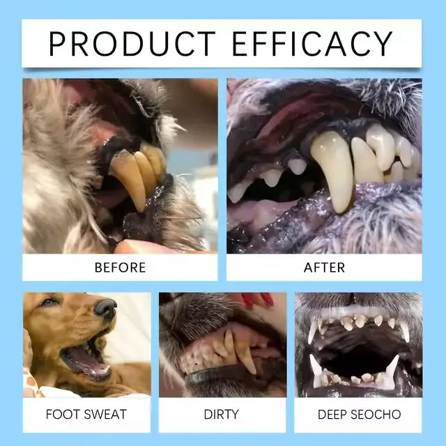 🐾 JEREMYTIS™ Pet Dental Oral Liquid – Fresh Breath & Tartar Care 🦷✨