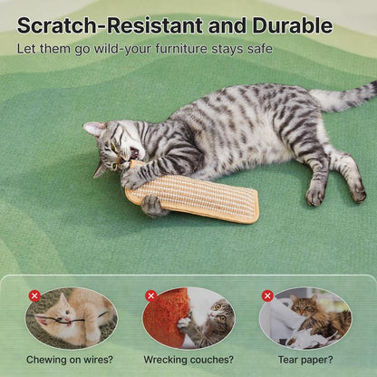 🐱 Interactive Catnip Chew Toy for Active Indoor Cats